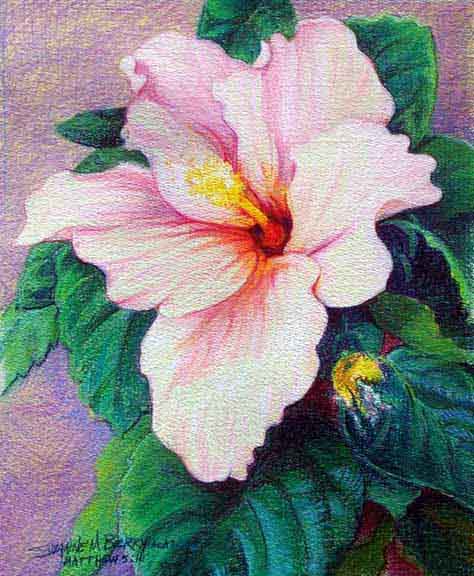 Pastel Flower Paintings
